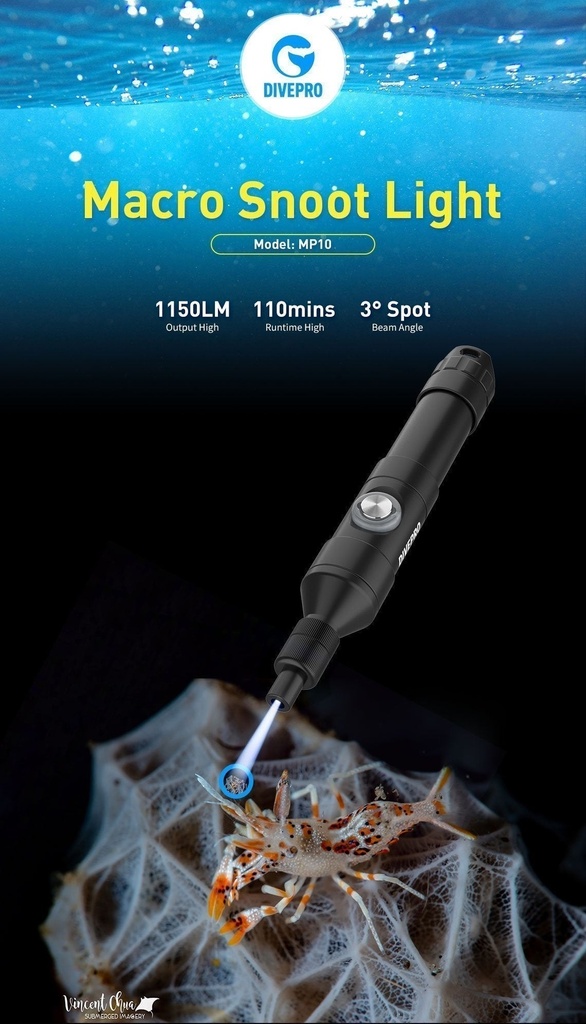 Divepro MP10 1150Lumens