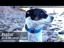 Nite ize RADDOGâ„¢ ALL-IN-ONE COLLAR + LEASH (Large Blue)