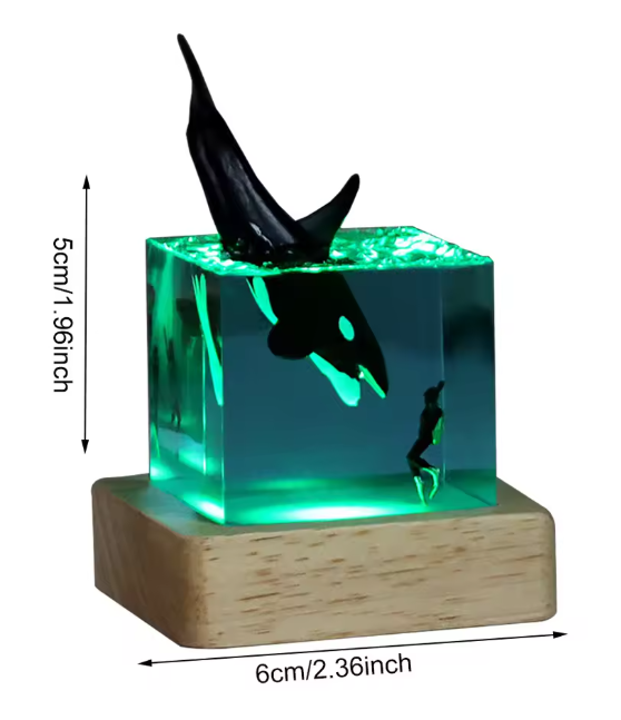 Resin Orca Whale With Diver +Wood Base with Light