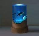 Resin LED Light Set cylindrical turtle with diver